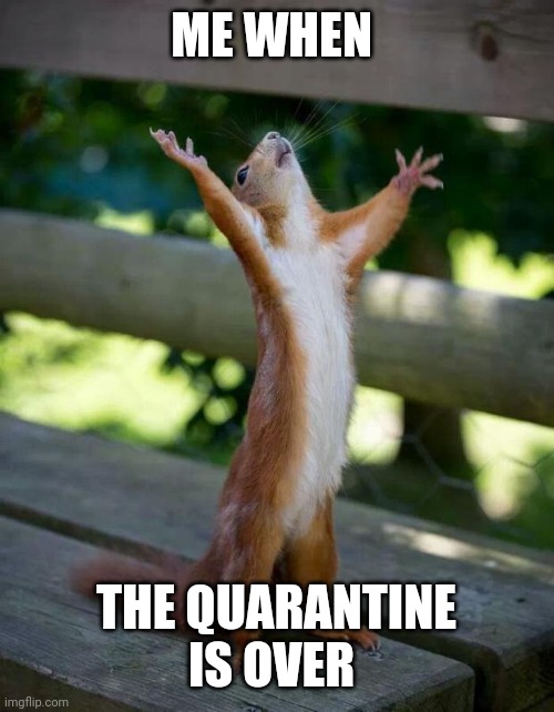 Happy Squirrel |  ME WHEN; THE QUARANTINE IS OVER | image tagged in happy squirrel | made w/ Imgflip meme maker