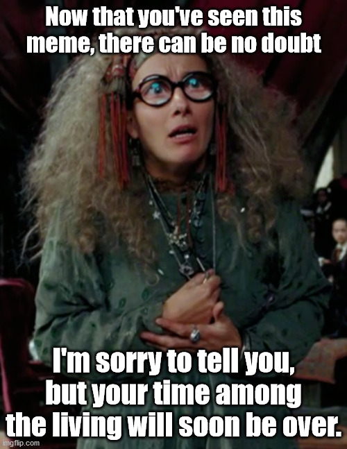 Trelawney in what she does best. | Now that you've seen this meme, there can be no doubt; I'm sorry to tell you, but your time among the living will soon be over. | image tagged in professor trelawney | made w/ Imgflip meme maker