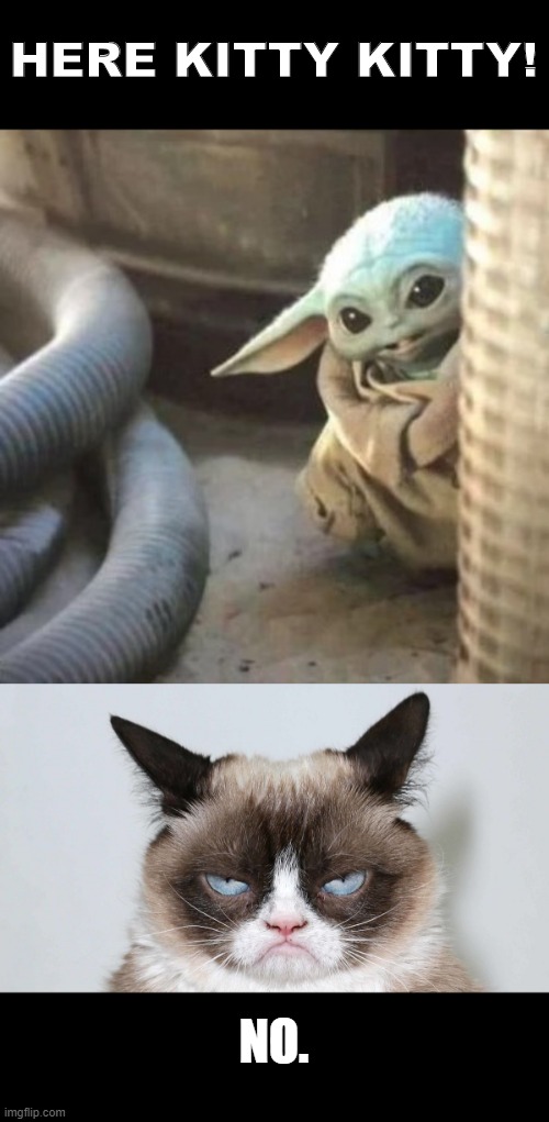 Baby Yoda Grumpy Cat Meme | HERE KITTY KITTY! NO. | image tagged in grumpy cat,baby yoda | made w/ Imgflip meme maker