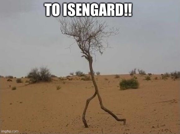 TO ISENGARD!! | image tagged in lotr | made w/ Imgflip meme maker