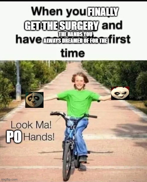 FINALLY; GET THE SURGERY; THE HANDS YOU ALWAYS DREAMED OF FOR THE; PO | image tagged in kung fu panda | made w/ Imgflip meme maker