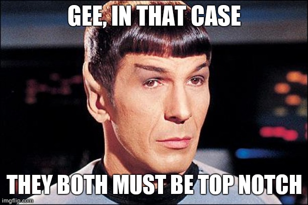 Condescending Spock | GEE, IN THAT CASE THEY BOTH MUST BE TOP NOTCH | image tagged in condescending spock | made w/ Imgflip meme maker