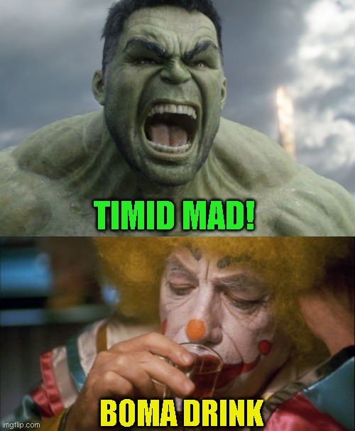 Hi Honey, moon burned yet? | TIMID MAD! BOMA DRINK | image tagged in fun day,just a joke | made w/ Imgflip meme maker