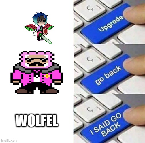 MY OC IN A NUTSHALL | WOLFEL | image tagged in i said go back | made w/ Imgflip meme maker