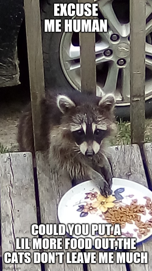 Bandit | EXCUSE ME HUMAN; COULD YOU PUT A LIL MORE FOOD OUT,THE CATS DON'T LEAVE ME MUCH | image tagged in bandit | made w/ Imgflip meme maker