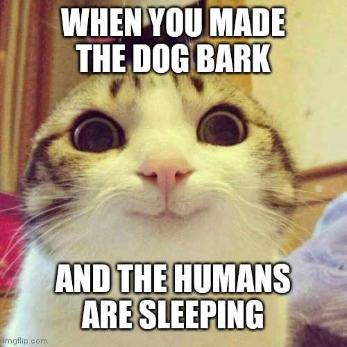 Smiling Cat | WHEN YOU MADE THE DOG BARK; AND THE HUMANS ARE SLEEPING | image tagged in memes,smiling cat | made w/ Imgflip meme maker