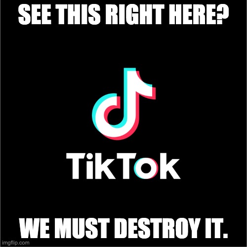 tiktok logo | SEE THIS RIGHT HERE? WE MUST DESTROY IT. | image tagged in tiktok logo | made w/ Imgflip meme maker
