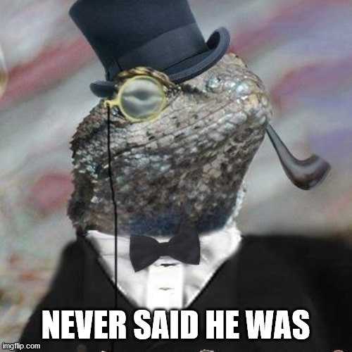 Lizard Squad | NEVER SAID HE WAS | image tagged in lizard squad | made w/ Imgflip meme maker