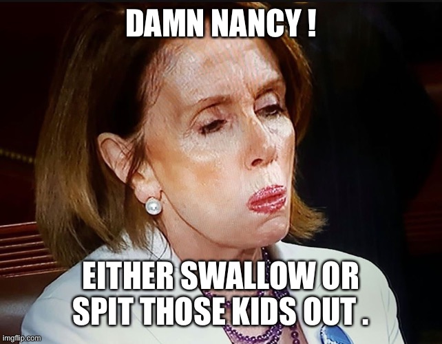 Nancy Pelosi PB Sandwich | DAMN NANCY ! EITHER SWALLOW OR SPIT THOSE KIDS OUT . | image tagged in nancy pelosi pb sandwich | made w/ Imgflip meme maker