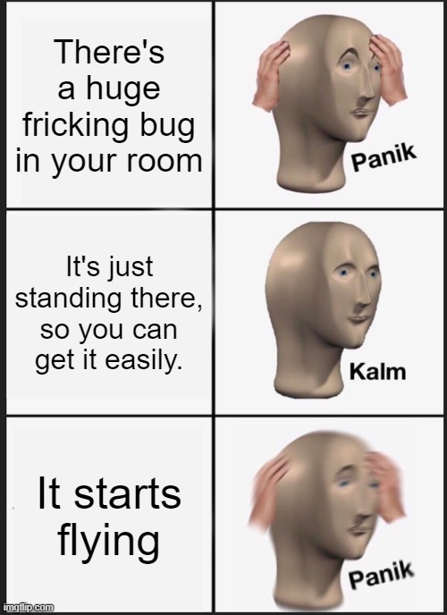 Panik Kalm Panik | There's a huge fricking bug in your room; It's just standing there, so you can get it easily. It starts flying | image tagged in memes,panik kalm panik | made w/ Imgflip meme maker