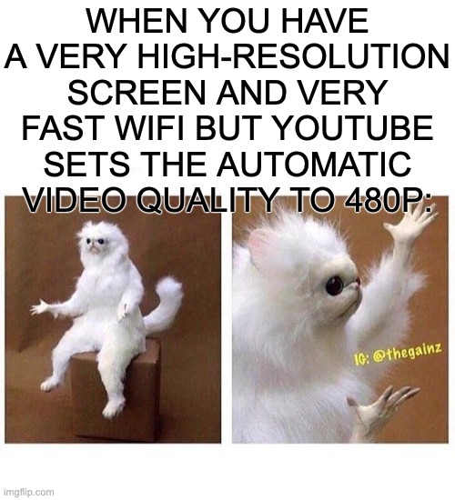 happens a lot | WHEN YOU HAVE A VERY HIGH-RESOLUTION SCREEN AND VERY FAST WIFI BUT YOUTUBE SETS THE AUTOMATIC VIDEO QUALITY TO 480P: | image tagged in why tho,youtube,quality,wifi | made w/ Imgflip meme maker