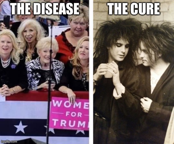 The Cure | THE DISEASE           THE CURE | image tagged in the cure,bad pun trump,nevertrump,dump trump | made w/ Imgflip meme maker