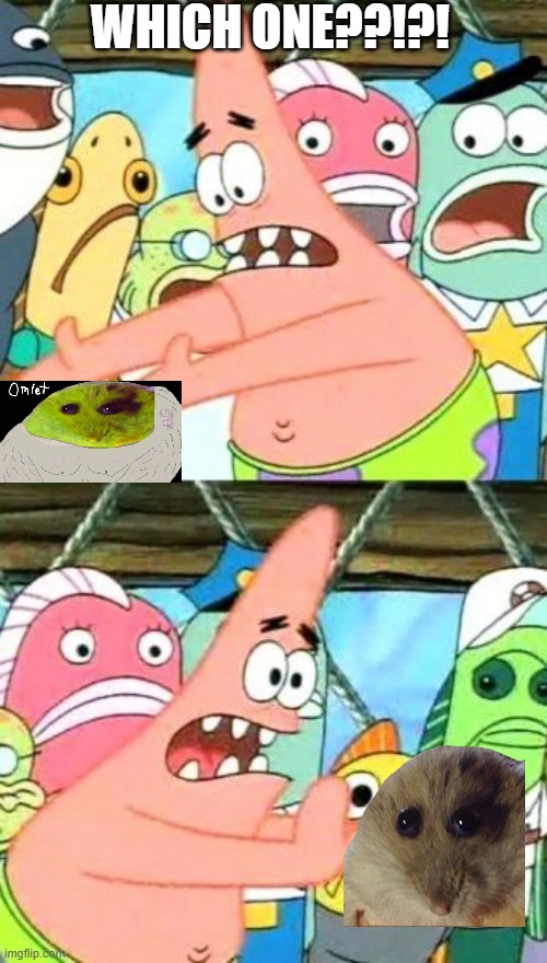 WhichOne?!?! | WHICH ONE??!?! | image tagged in memes,put it somewhere else patrick | made w/ Imgflip meme maker