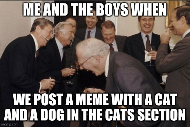 Laughing Men In Suits | ME AND THE BOYS WHEN; WE POST A MEME WITH A CAT AND A DOG IN THE CATS SECTION | image tagged in memes,laughing men in suits | made w/ Imgflip meme maker