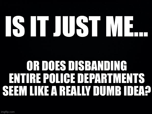 It is just me... ? | IS IT JUST ME... OR DOES DISBANDING ENTIRE POLICE DEPARTMENTS SEEM LIKE A REALLY DUMB IDEA? | image tagged in dumb idea,disbanding police departments,hard pass,Conservative | made w/ Imgflip meme maker