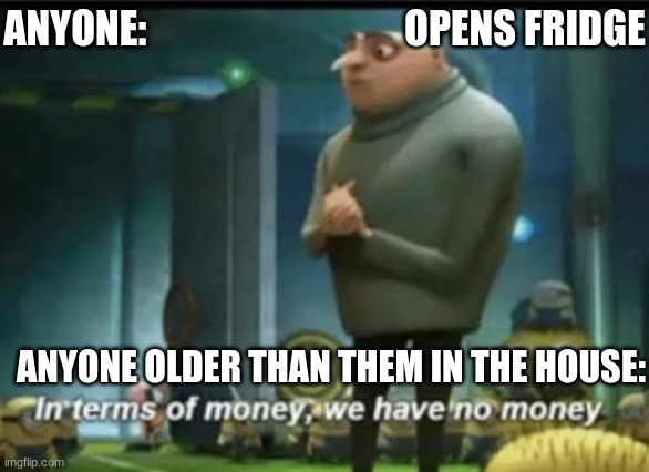 In terms of money | ANYONE:                                 OPENS FRIDGE; ANYONE OLDER THAN THEM IN THE HOUSE: | image tagged in in terms of money | made w/ Imgflip meme maker