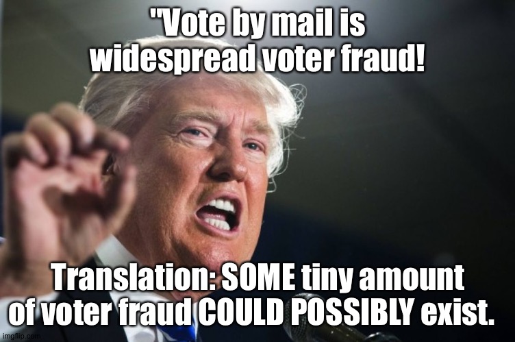Vote by mail is okay. | "Vote by mail is widespread voter fraud! Translation: SOME tiny amount of voter fraud COULD POSSIBLY exist. | image tagged in donald trump | made w/ Imgflip meme maker