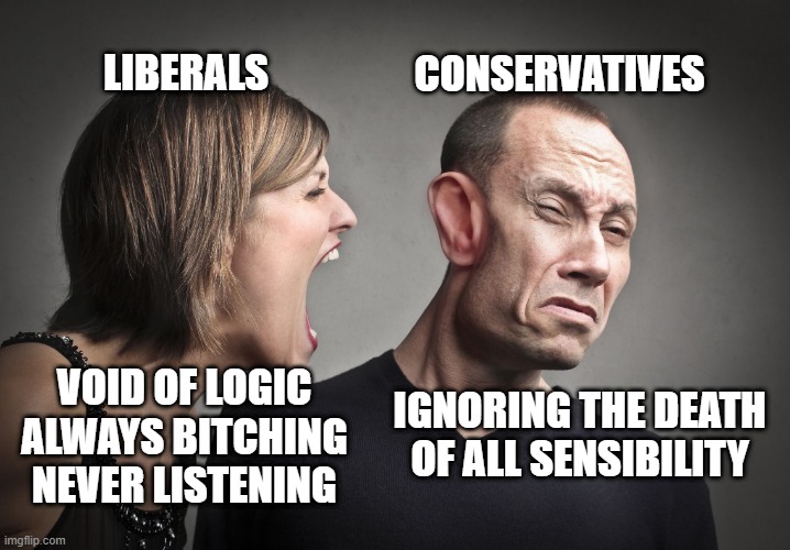 Liberals Vs Conservatives | CONSERVATIVES; LIBERALS; VOID OF LOGIC
ALWAYS BITCHING
NEVER LISTENING; IGNORING THE DEATH
OF ALL SENSIBILITY | image tagged in leftist screaming at conservative | made w/ Imgflip meme maker