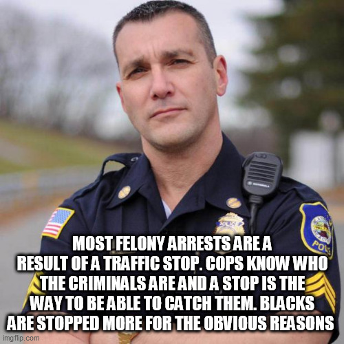 Cop | MOST FELONY ARRESTS ARE A RESULT OF A TRAFFIC STOP. COPS KNOW WHO THE CRIMINALS ARE AND A STOP IS THE WAY TO BE ABLE TO CATCH THEM. BLACKS ARE STOPPED MORE FOR THE OBVIOUS REASONS | image tagged in cop | made w/ Imgflip meme maker