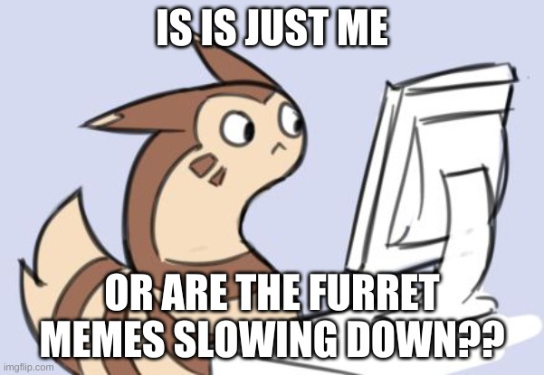 I'm seeing less and less, and it hurts | IS IS JUST ME; OR ARE THE FURRET MEMES SLOWING DOWN?? | image tagged in furret | made w/ Imgflip meme maker