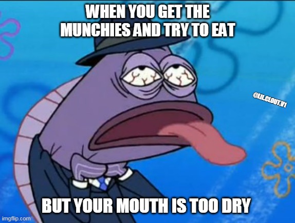WHEN YOU GET THE MUNCHIES AND TRY TO EAT; @LIL.CLOUT.V1; BUT YOUR MOUTH IS TOO DRY | image tagged in homemade,dank memes,weed | made w/ Imgflip meme maker