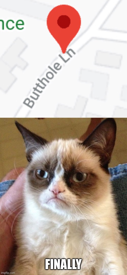 butthole lane | FINALLY | image tagged in memes,grumpy cat | made w/ Imgflip meme maker