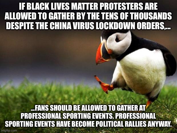 Sporting events are political rallies. Why are people not allowed to gather at those? | IF BLACK LIVES MATTER PROTESTERS ARE ALLOWED TO GATHER BY THE TENS OF THOUSANDS DESPITE THE CHINA VIRUS LOCKDOWN ORDERS,... ...FANS SHOULD BE ALLOWED TO GATHER AT PROFESSIONAL SPORTING EVENTS. PROFESSIONAL SPORTING EVENTS HAVE BECOME POLITICAL RALLIES ANYWAY. | image tagged in memes,unpopular opinion puffin,black lives matter,sports,political,china virus | made w/ Imgflip meme maker
