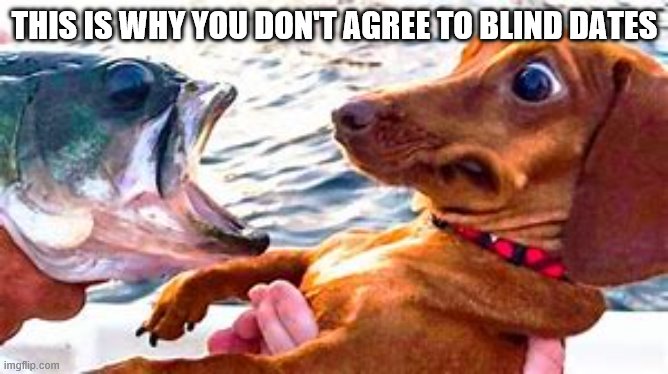 Internet Dating | THIS IS WHY YOU DON'T AGREE TO BLIND DATES | image tagged in dog | made w/ Imgflip meme maker
