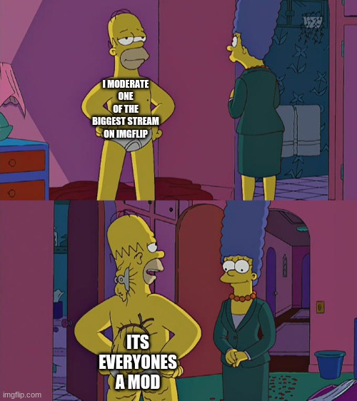 Homer Simpson's Back Fat | I MODERATE ONE OF THE BIGGEST STREAM ON IMGFLIP; ITS EVERYONES A MOD | image tagged in homer simpson's back fat | made w/ Imgflip meme maker