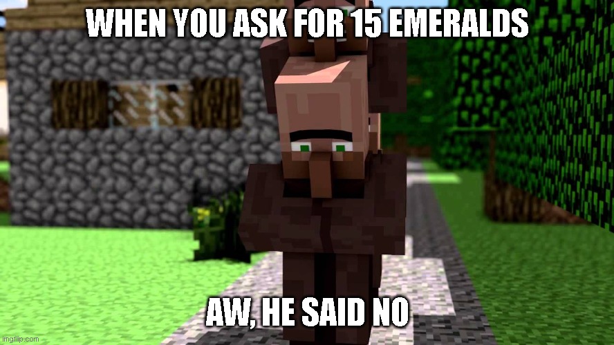 When you say no to villagers | WHEN YOU ASK FOR 15 EMERALDS; AW, HE SAID NO | image tagged in minecraft,meme | made w/ Imgflip meme maker