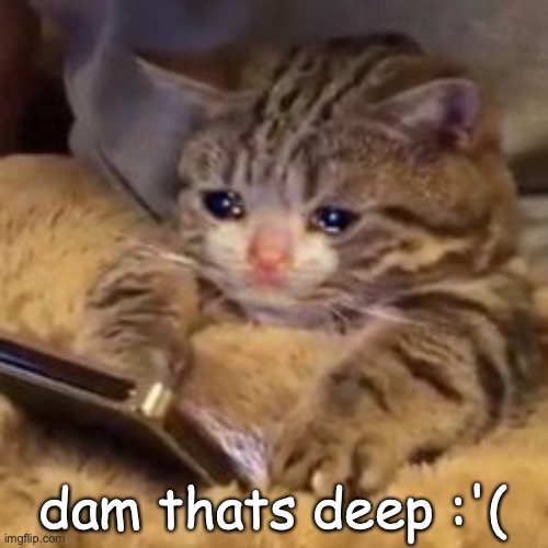 Crying cat on phone | dam thats deep :'( | image tagged in crying cat on phone | made w/ Imgflip meme maker