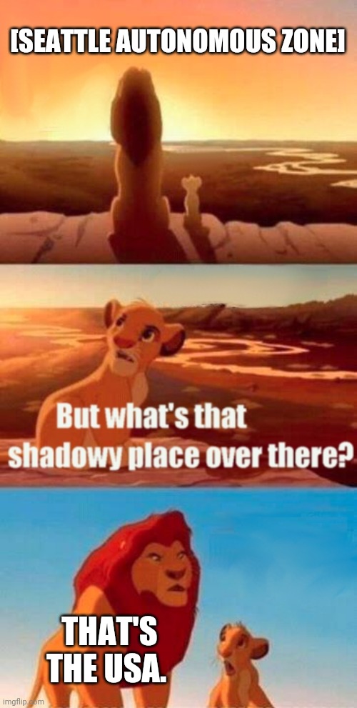 Seattle autonomous zone | [SEATTLE AUTONOMOUS ZONE]; THAT'S THE USA. | image tagged in memes,simba shadowy place | made w/ Imgflip meme maker