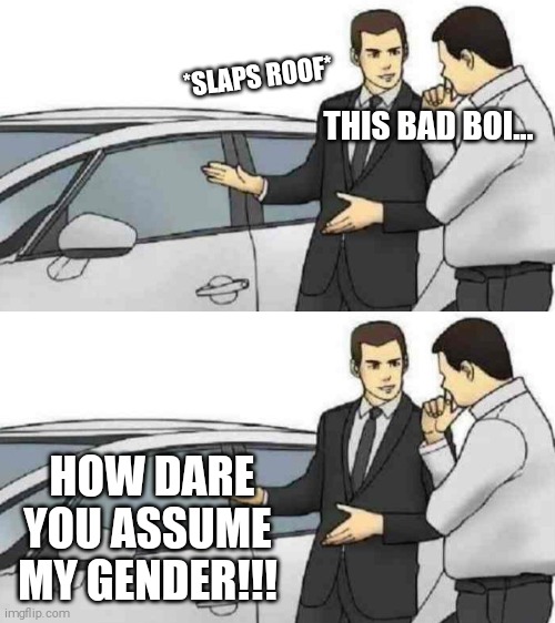 this bad  oi | *SLAPS ROOF*; THIS BAD BOI... HOW DARE YOU ASSUME MY GENDER!!! | image tagged in memes,car salesman slaps roof of car | made w/ Imgflip meme maker
