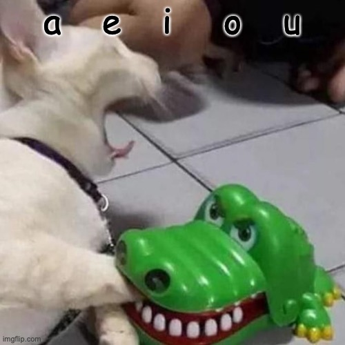 Screaming Cat Crocodile | a    e    i     o    u | image tagged in screaming cat crocodile | made w/ Imgflip meme maker