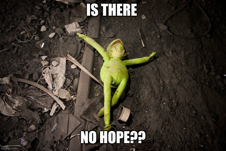 No Hope Kermit  | IS THERE NO HOPE?? | image tagged in no hope kermit | made w/ Imgflip meme maker