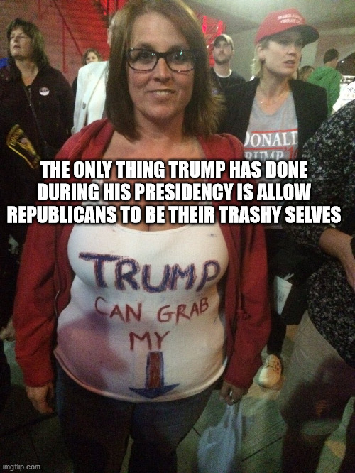 THE ONLY THING TRUMP HAS DONE DURING HIS PRESIDENCY IS ALLOW REPUBLICANS TO BE THEIR TRASHY SELVES | image tagged in trump | made w/ Imgflip meme maker