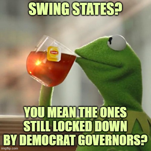 But That's None Of My Business Meme | SWING STATES? YOU MEAN THE ONES STILL LOCKED DOWN BY DEMOCRAT GOVERNORS? | image tagged in memes,but that's none of my business,kermit the frog | made w/ Imgflip meme maker
