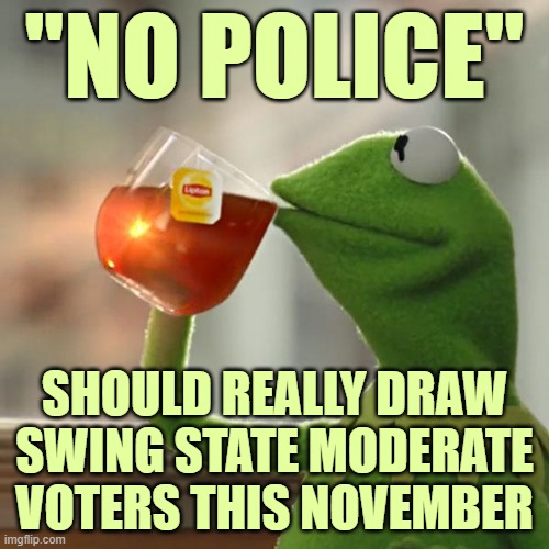 Should we just call Minnesota and Wisconsin for Trump right now? | "NO POLICE"; SHOULD REALLY DRAW SWING STATE MODERATE VOTERS THIS NOVEMBER | image tagged in memes,but that's none of my business,kermit the frog | made w/ Imgflip meme maker