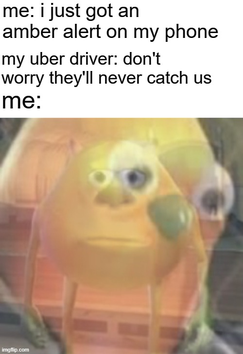 Just got kidnapped | me: i just got an amber alert on my phone; my uber driver: don't worry they'll never catch us; me: | image tagged in mike wazowski face swap,funny memes,funny,oh shit,kidnapping | made w/ Imgflip meme maker