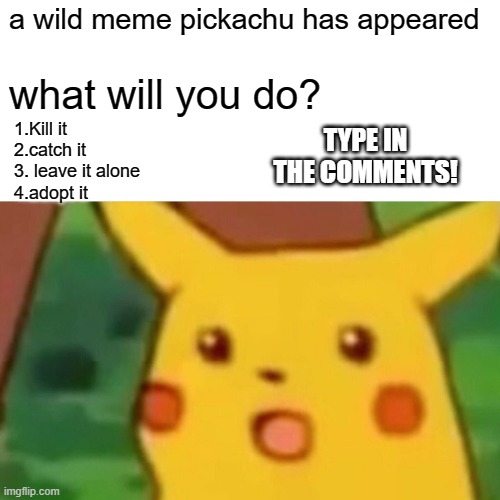 choose your choice #1 | a wild meme pickachu has appeared; what will you do? TYPE IN THE COMMENTS! 1.Kill it
2.catch it
3. leave it alone
4.adopt it | image tagged in memes,surprised pikachu | made w/ Imgflip meme maker