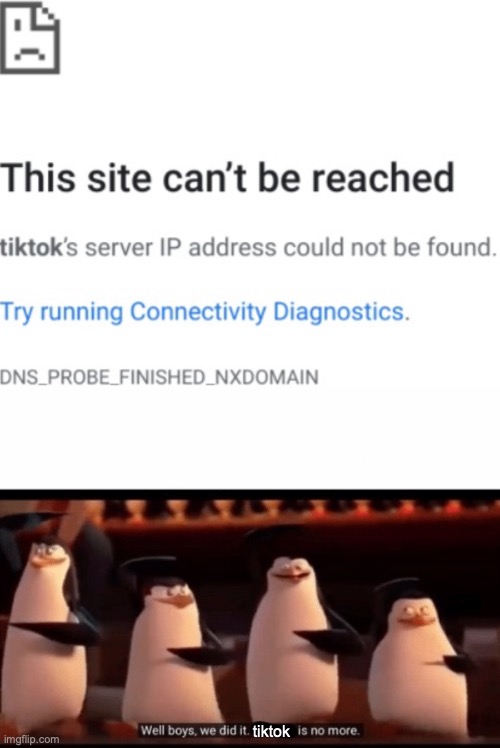 War_Against_Tik_Tok well boys we did it blank is no more ...