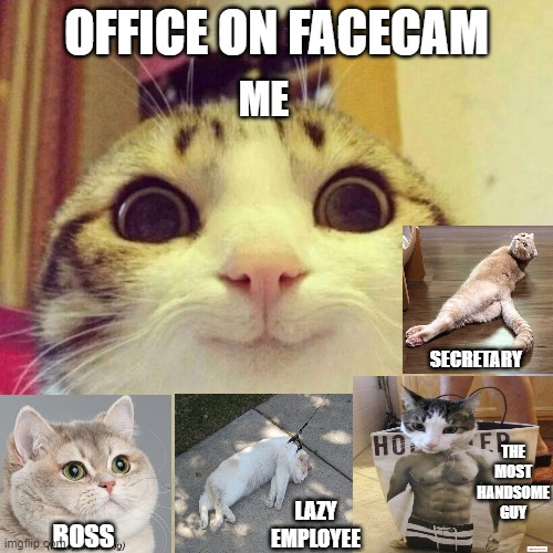 Smiling Cat Meme | OFFICE ON FACECAM; ME; SECRETARY; THE MOST HANDSOME GUY; LAZY EMPLOYEE; BOSS | image tagged in memes,smiling cat | made w/ Imgflip meme maker
