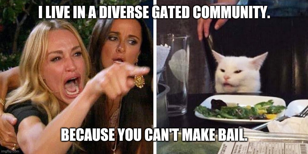 Smudge the cat | I LIVE IN A DIVERSE GATED COMMUNITY. BECAUSE YOU CAN'T MAKE BAIL. | image tagged in smudge the cat | made w/ Imgflip meme maker