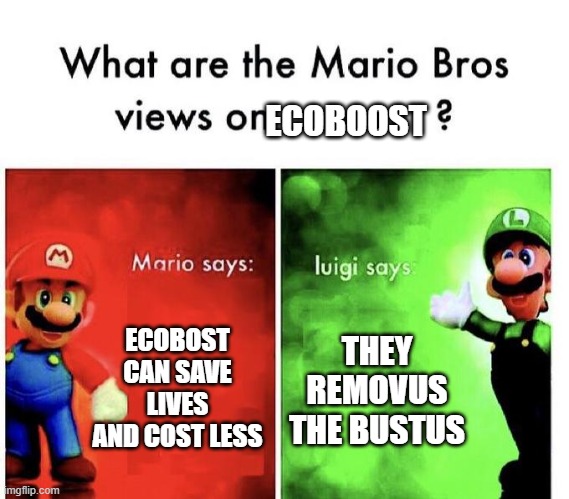 Mario Bros Views | ECOBOOST; ECOBOST CAN SAVE LIVES AND COST LESS; THEY REMOVUS THE BUSTUS | image tagged in mario bros views | made w/ Imgflip meme maker