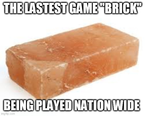 RIOT BRICK | THE LASTEST GAME "BRICK"; BEING PLAYED NATION WIDE | image tagged in riot brick | made w/ Imgflip meme maker