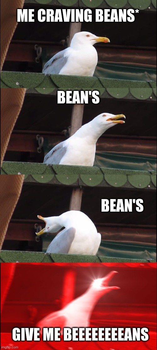 Inhaling Seagull Meme | ME CRAVING BEANS*; BEAN'S; BEAN'S; GIVE ME BEEEEEEEEANS | image tagged in memes,inhaling seagull | made w/ Imgflip meme maker