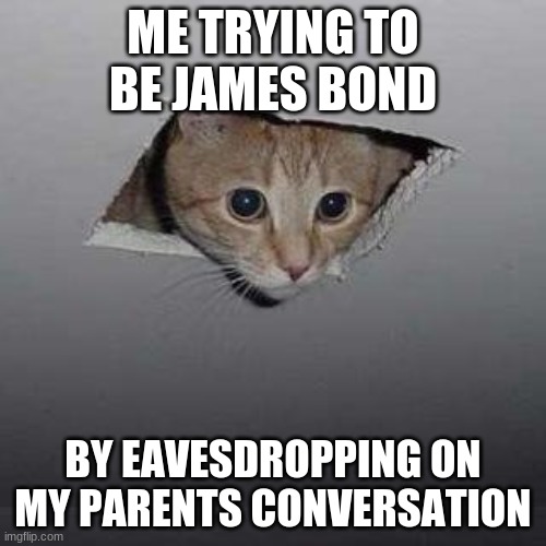 Ceiling Cat Meme | ME TRYING TO BE JAMES BOND; BY EAVESDROPPING ON MY PARENTS CONVERSATION | image tagged in memes,ceiling cat,family,james bond | made w/ Imgflip meme maker