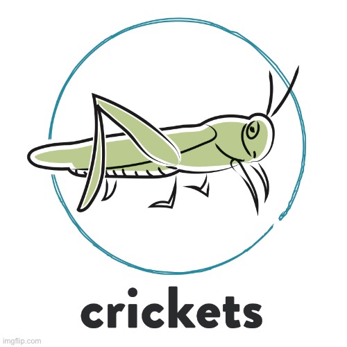 Crickets | image tagged in crickets | made w/ Imgflip meme maker