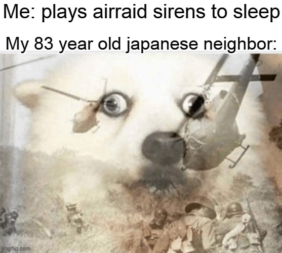 PTSD dog | Me: plays airraid sirens to sleep; My 83 year old japanese neighbor: | image tagged in ptsd dog | made w/ Imgflip meme maker