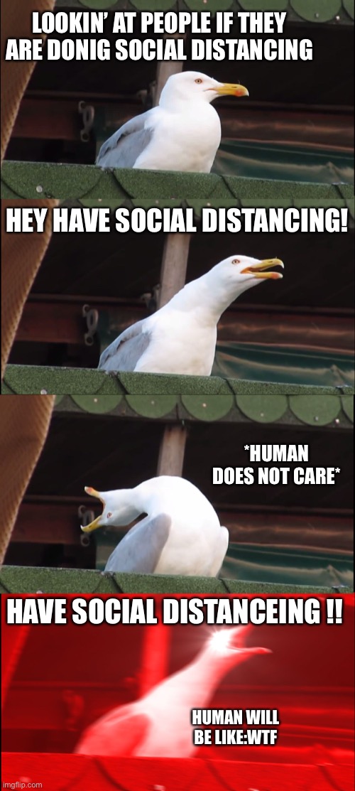 The scary frickin bird | LOOKIN’ AT PEOPLE IF THEY ARE DONIG SOCIAL DISTANCING; HEY HAVE SOCIAL DISTANCING! *HUMAN DOES NOT CARE*; HAVE SOCIAL DISTANCEING !! HUMAN WILL BE LIKE:WTF | image tagged in memes,inhaling seagull | made w/ Imgflip meme maker